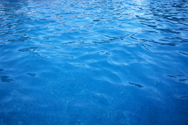 スイミング プールで水の表面波 — ストック写真