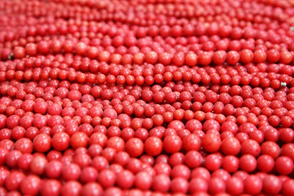 stock image Red beads