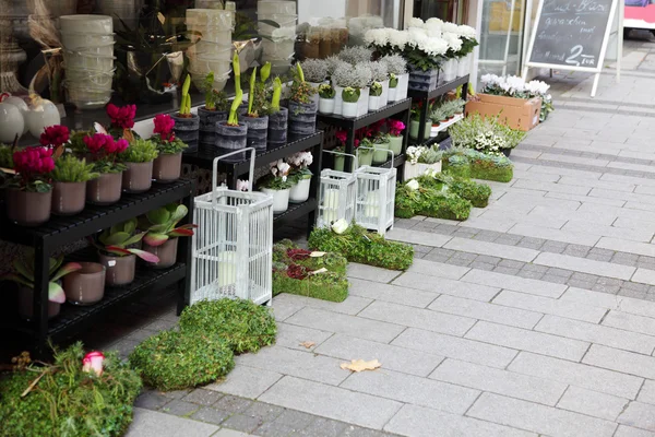 Show Window Flower Shop Street Cities — Stock Photo, Image