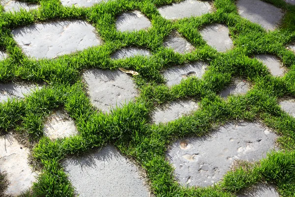 stock image Green grass sprouting between stones on a footpath