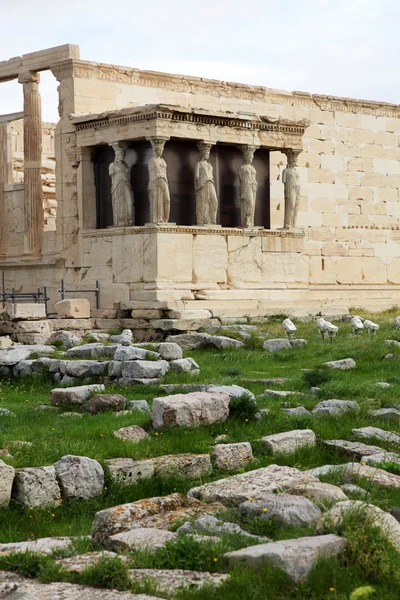 Erechtheum Antico Tempio Greco Sul Lato Nord Dell Acropoli Atene — Foto Stock