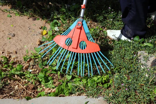 清除清除草坪的耙子 — 图库照片