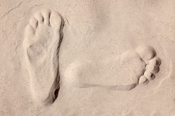 stock image Trace on sand