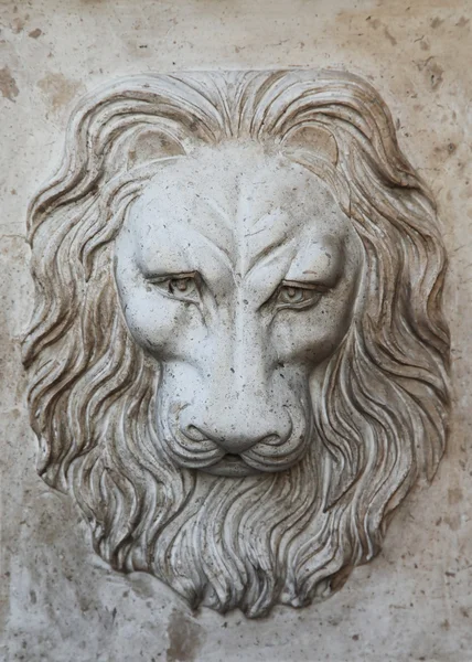 浅浮雕墙上的狮子的头的 — 图库照片