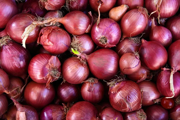 Stock image Bulbs as a background