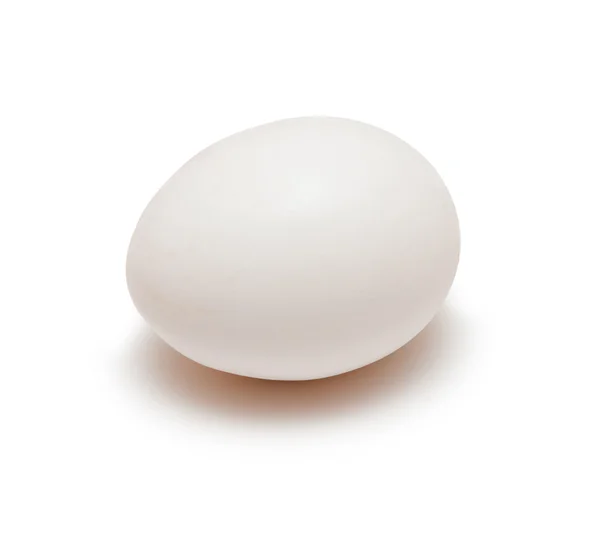 Біле яйце — стокове фото