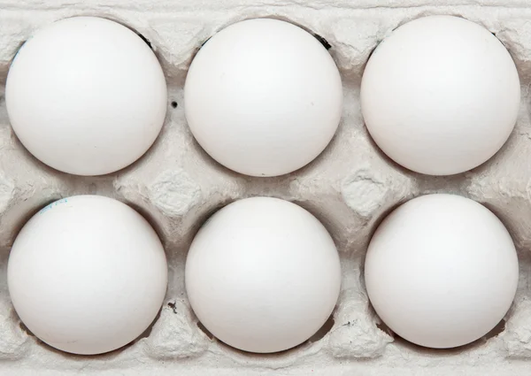 Jaja białe — Zdjęcie stockowe