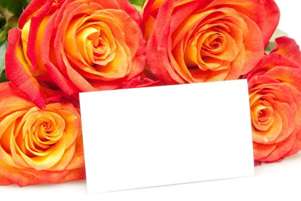 Τριαντάφυλλα με κάρτα — Φωτογραφία Αρχείου