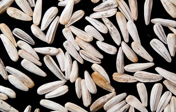 Bílá semena — Stock fotografie