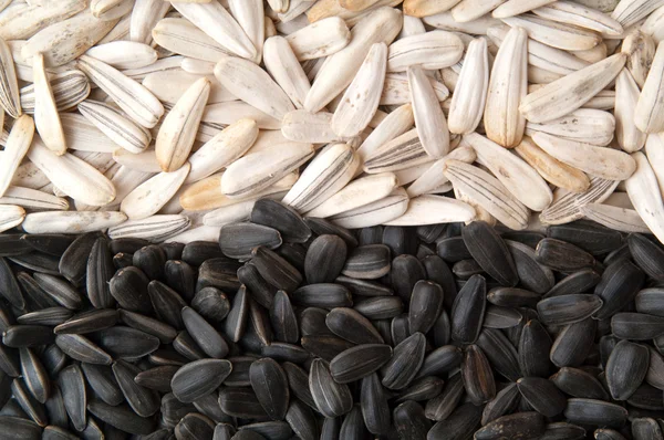 Seeds, black and white — Stock Photo, Image