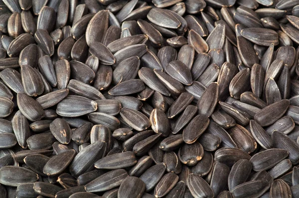 Siyah tohumlar — Stok fotoğraf
