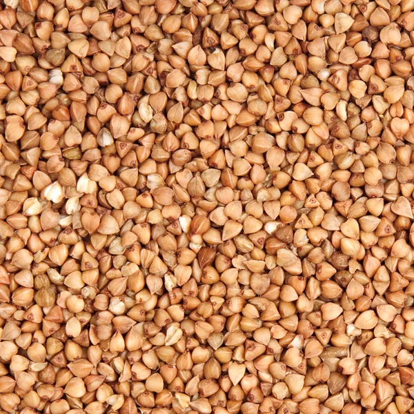 Buckwheat; — Stock Photo, Image