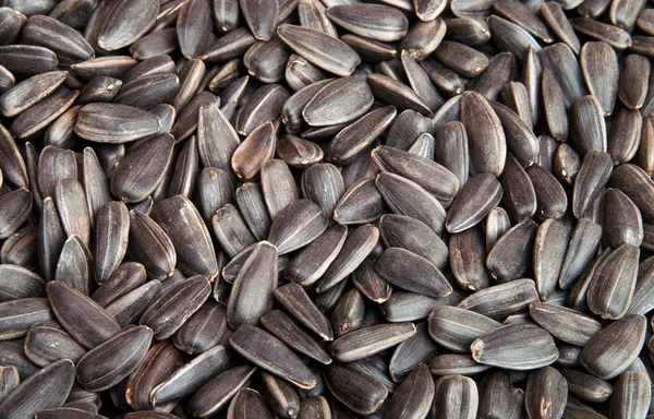 Seed — Stock Photo, Image