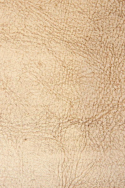 Δέρμα — Φωτογραφία Αρχείου
