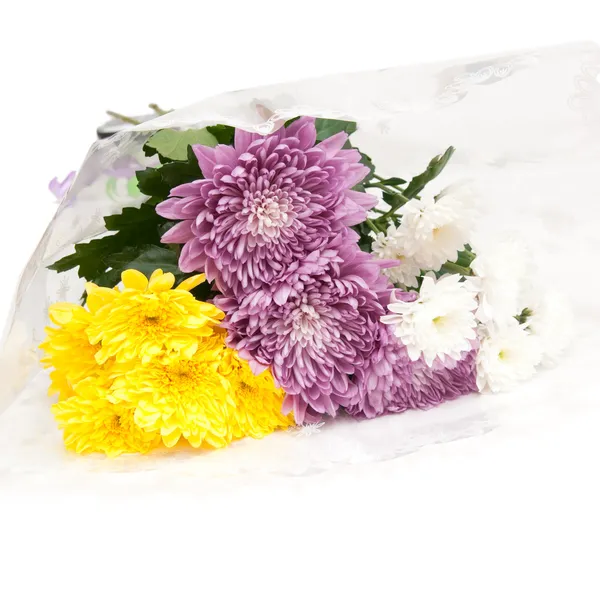 Bouquet de chrysanthèmes — Photo