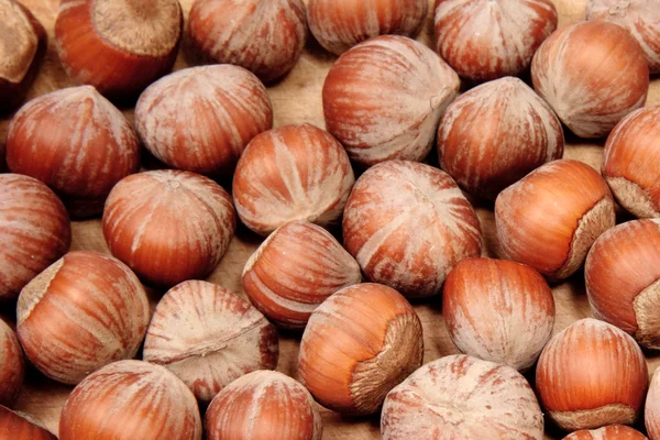 Nuts background — Stock Photo, Image