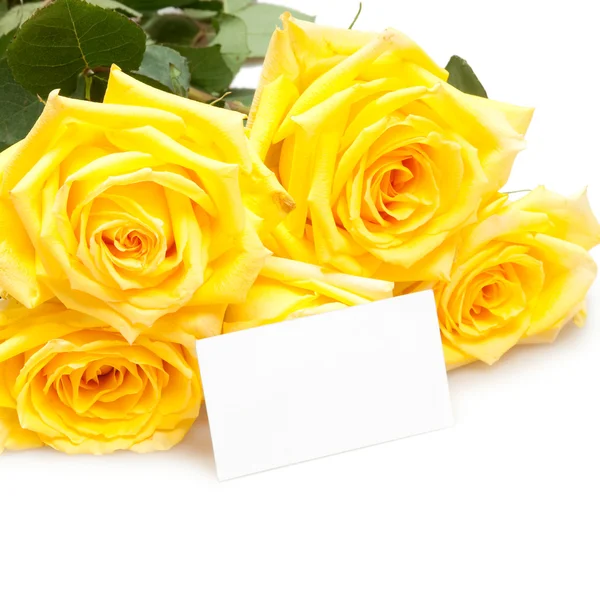Růže Prázdnou Kartu — Stock fotografie