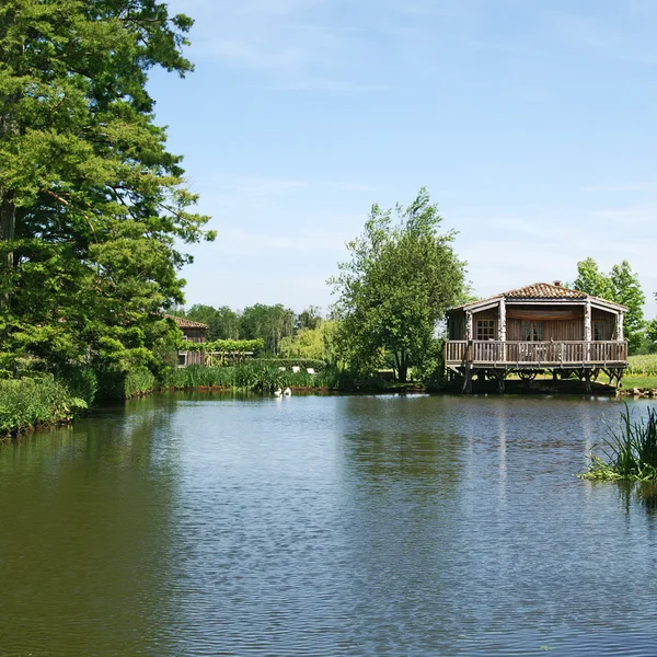 Pond Bordeaux Vineyard — Stock Photo, Image