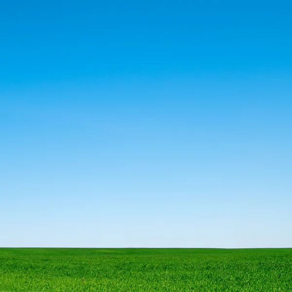 Beautiful Landscape Clean Blue Sky — Stock Photo, Image