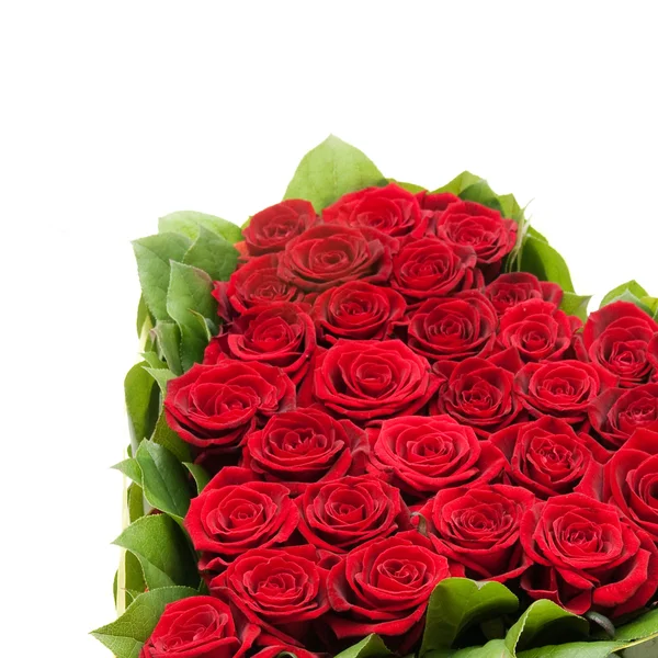 Corazón Rosas Rosas Rojas — Foto de Stock