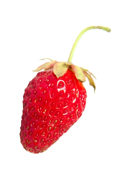 Red Strawberry Isolated White — Stock Photo, Image