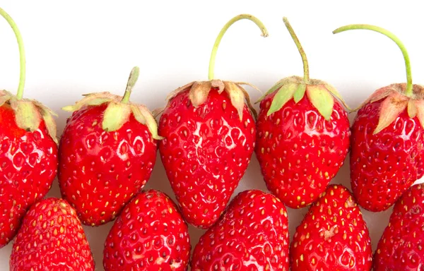 许多红草莓在白色上被隔离 — 图库照片