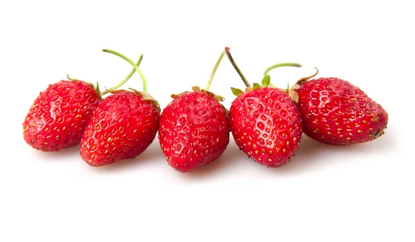 Viele Rote Erdbeeren Isoliert Auf Weißen — Stockfoto