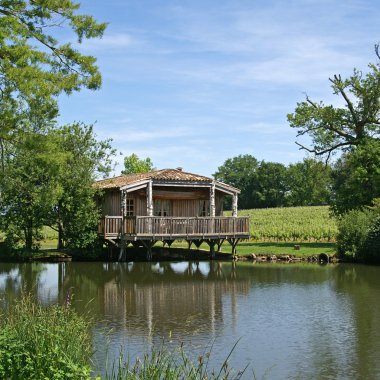 pond in Bordeaux, vineyard clipart