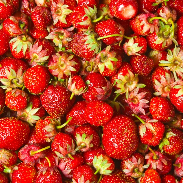 Häufen Rote Erdbeeren Schmackhafter Hintergrund — Stockfoto