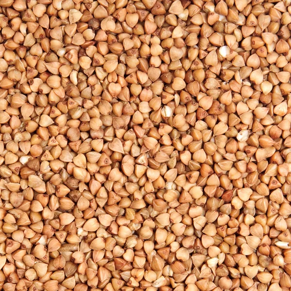 Buckwheat — Stok Foto