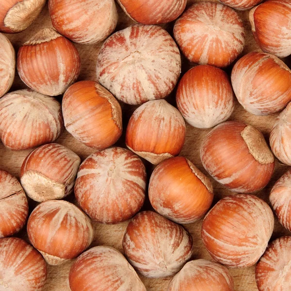 Forest Nuts — Stock Photo, Image