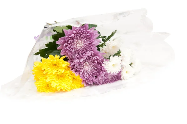 Bouquet Crisantemi — Foto Stock