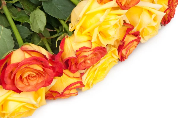 Bouquet Rose — Foto Stock