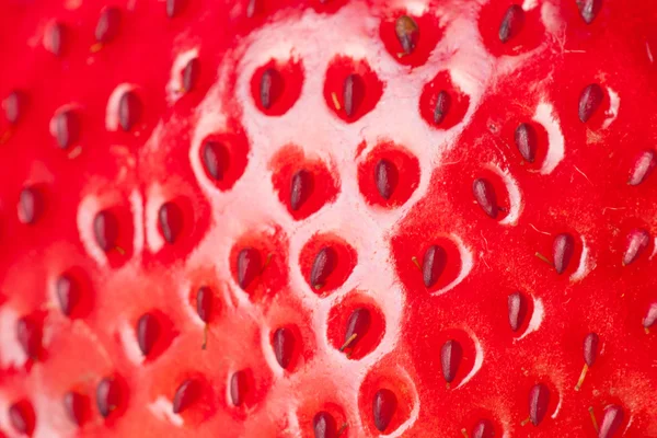 Macro fraise — Photo