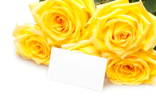 Yellow Roses — Stock Photo, Image