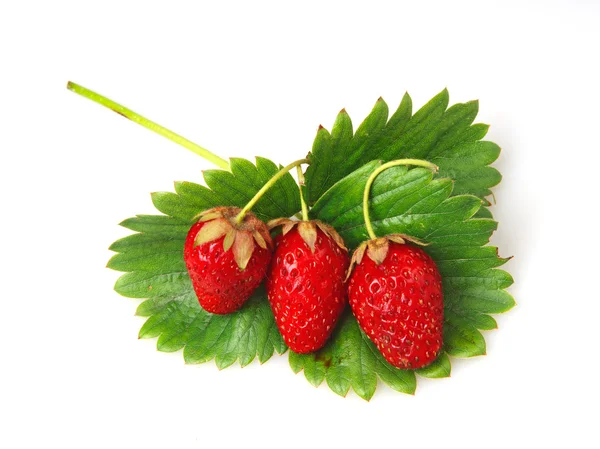 Trois fraises — Photo