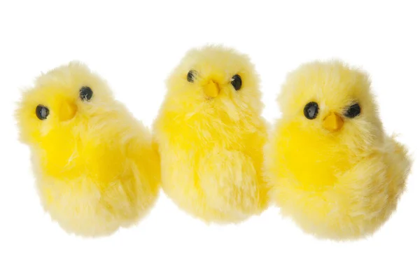 3 chickens — Stock Photo, Image