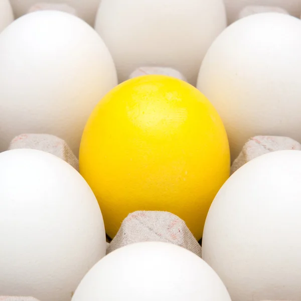 stock image Eggs