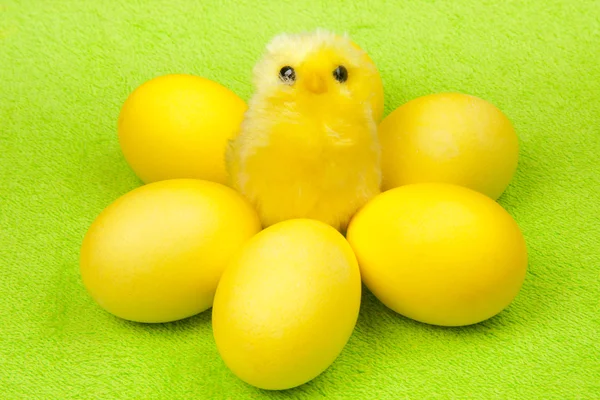 Yellow chicken — Stock Photo, Image