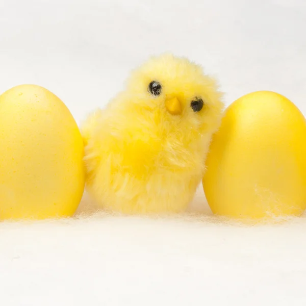 Chicken — Stock Photo, Image