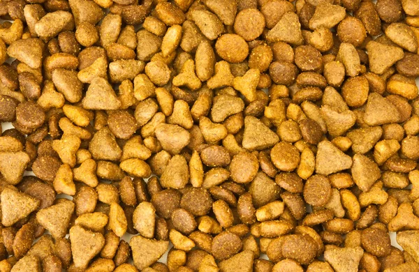 Cat food background — Stock Photo, Image