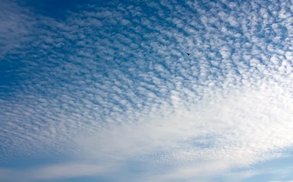 stock image Wave Sky