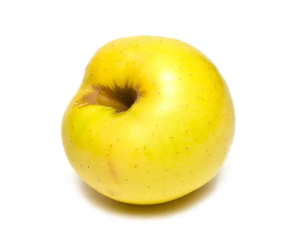Dojrzałe jabłko żółty, biały — Zdjęcie stockowe