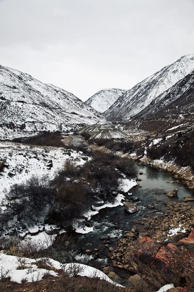 Boom-Schluchtenlandschaft in Kyrgyzstan (Asien). bewölkte Landschaft. Ohr — Stockfoto