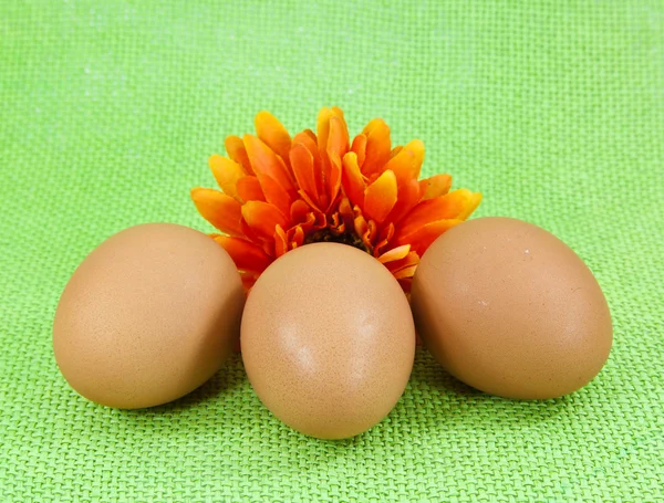 Три коричневих яйця з помаранчевою квіткою на зеленій сітці тла — стокове фото