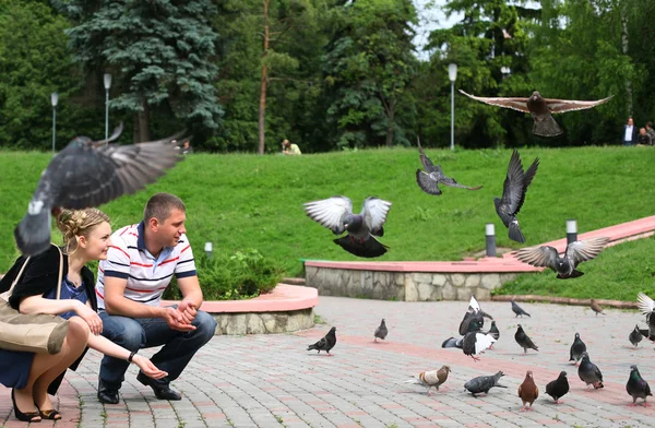 Nourrir Les Pigeons Avec Pain Dans Parc — Photo