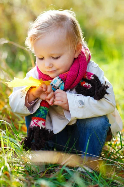 Κορίτσι μικρό παιδί στο πάρκο φθινόπωρο — Φωτογραφία Αρχείου