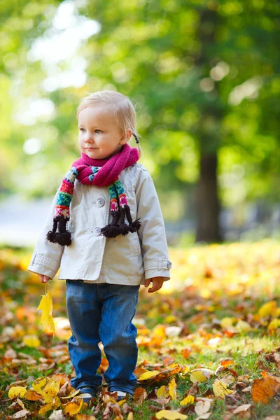 Κορίτσι μικρό παιδί στο πάρκο φθινόπωρο — Φωτογραφία Αρχείου