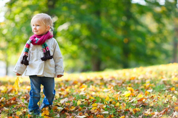 Menina criança no parque de outono — Fotografia de Stock