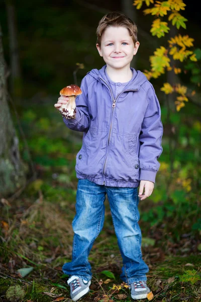 Menino com cogumelo selvagem na floresta — Fotografia de Stock